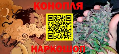 твердый Камышлов