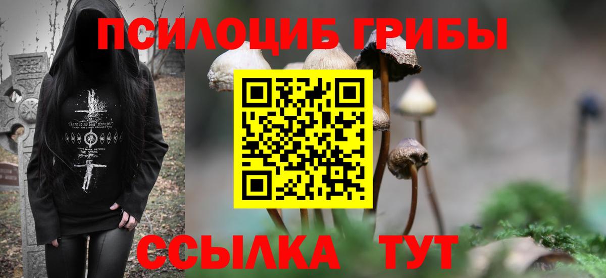 Псилоцибиновые грибы Psilocybine cubensis  Вход с VPN  Лениногорск 